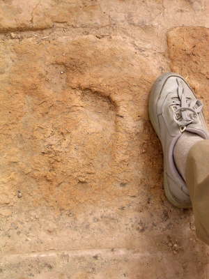 Choga Zanbil footprint